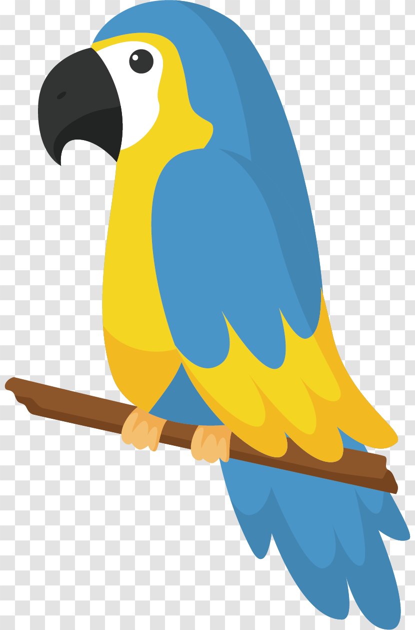 Parrot Bird Drawing - Macaw - Multicolored Transparent PNG