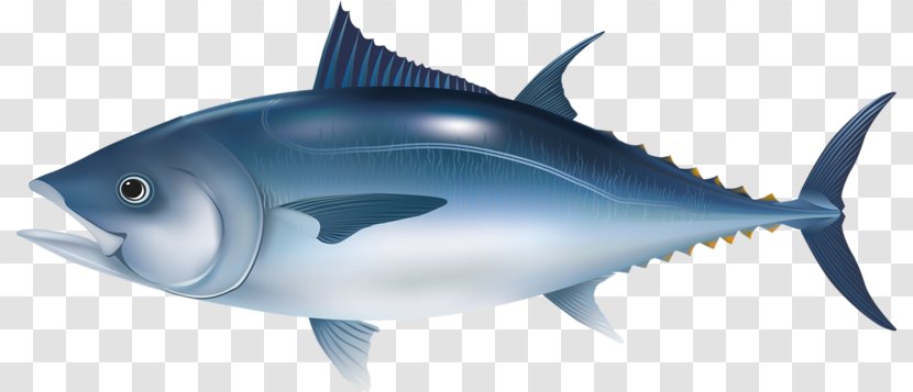 Microsoft PowerPoint Fish Tuna Template Presentation Slide - Bony - Sea Transparent PNG