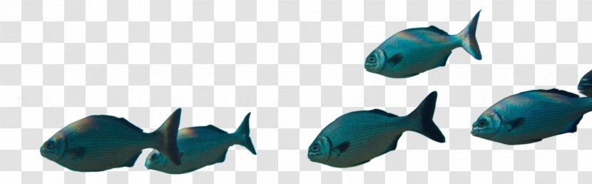 Plastic Technology - Sea Bream Transparent PNG