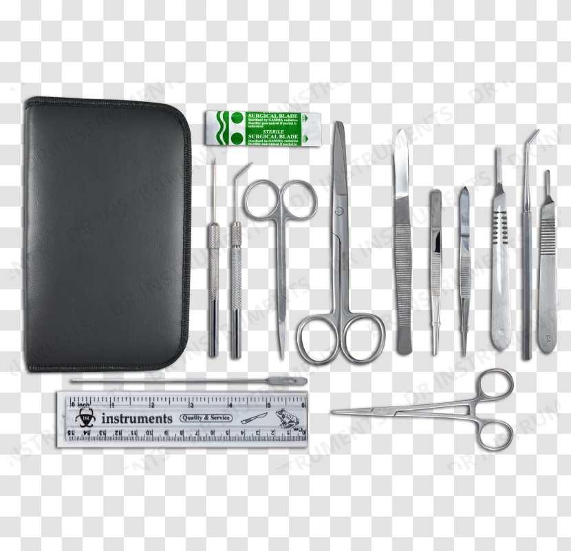 Dissection Anatomy Student American Medical Association Suture - School Transparent PNG