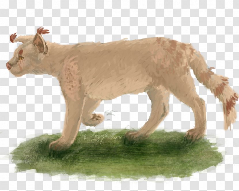 Lion Big Cat Terrestrial Animal Transparent PNG