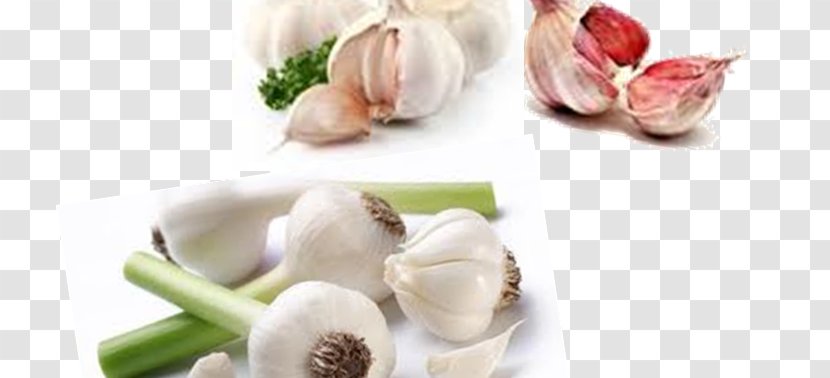 Garlic Broccoli Vegetarian Cuisine Organic Food Vegetable - Flavor - Onion Genus Transparent PNG
