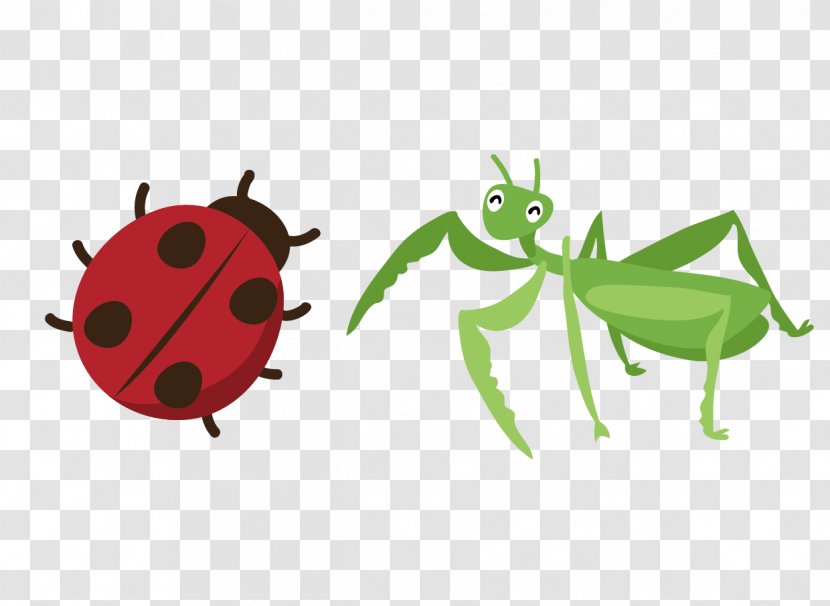 Insect Euclidean Vector Drawing Icon - Fruit Transparent PNG