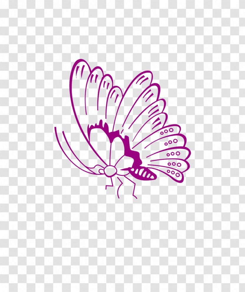 Butterfly Cdr - Wing Transparent PNG