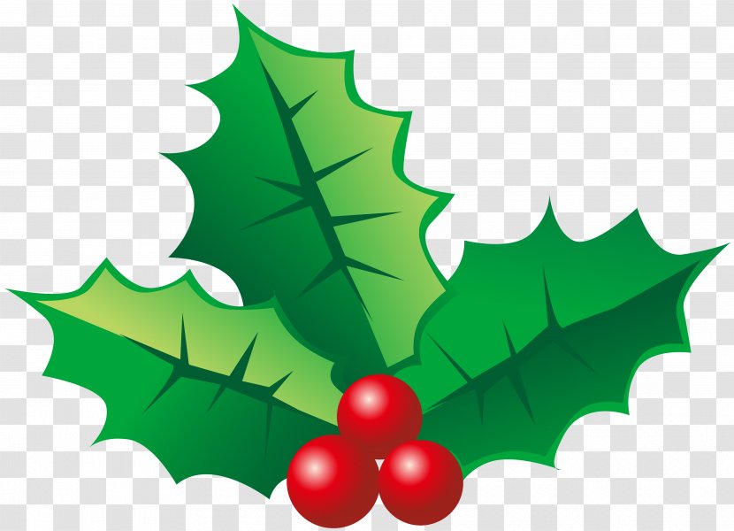 Christmas Decoration Tree Clip Art - Common Holly Transparent PNG