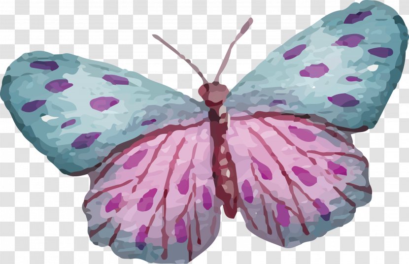 Butterfly Nymphalidae - Creative Colorful Transparent PNG