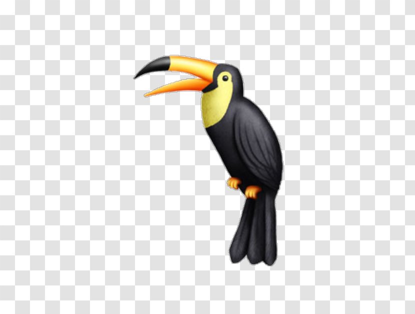 Toucan Beak Hornbill - Venezuela Transparent PNG