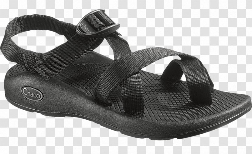 Chaco Sandal Shoe Sneakers Flip-flops - Cross Training - Minimal Summer Transparent PNG