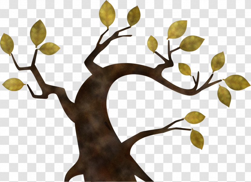 Branch Tree Plant Woody Plant Leaf Transparent PNG