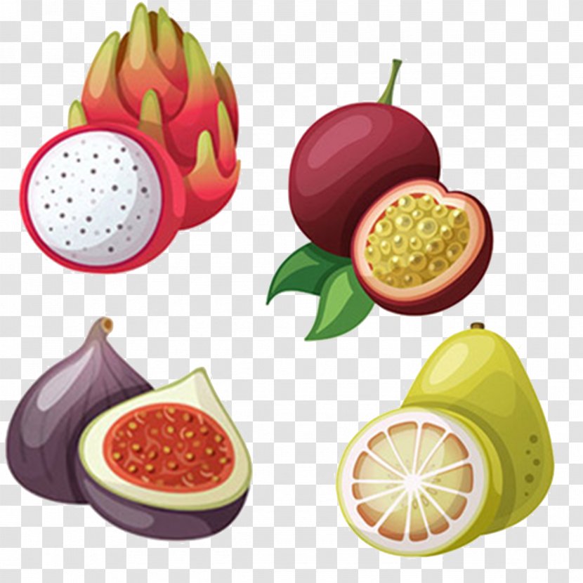 Tropical Fruit Illustration - Melon - Dragon Mangosteen Passion Grapefruit Transparent PNG