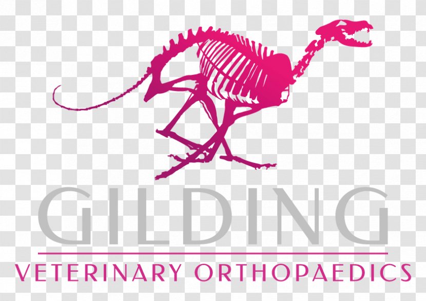 Skeleton Park Brewery Veterinarian Dog Veterinary Medicine Pet Transparent PNG