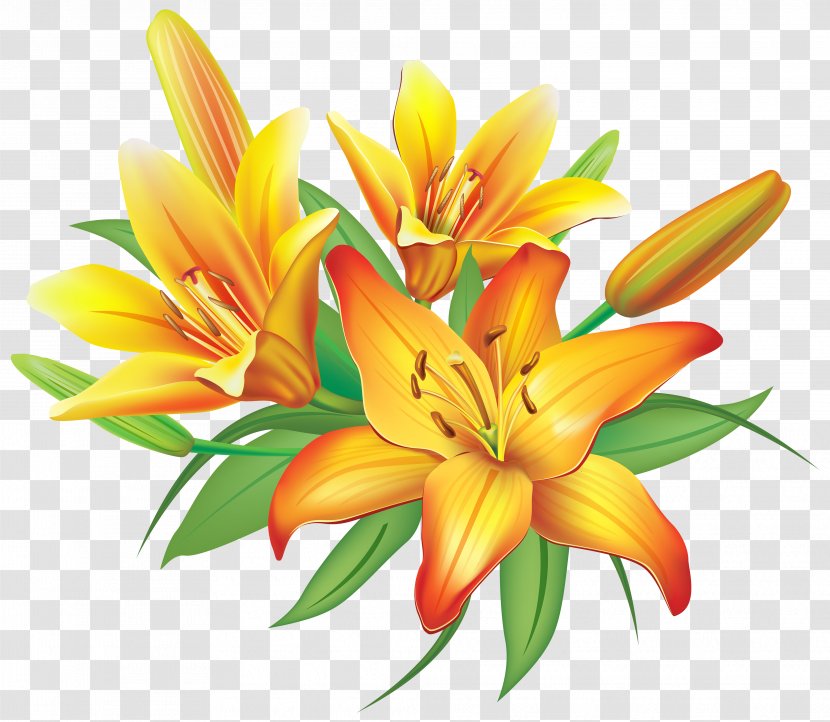 Flower Yellow Clip Art - Easter Lily - Lilies Flowers Decoration Clipart Image Transparent PNG