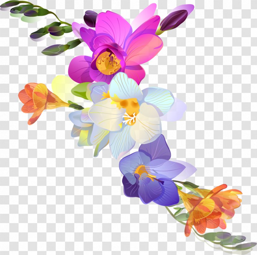 Freesia Flower Photography - Balcony Plants Decoration 18 0 1 Transparent PNG