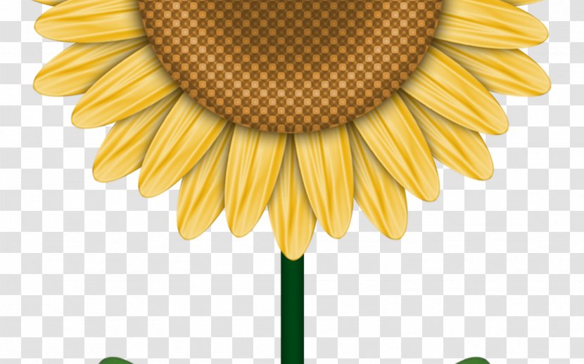 Common Sunflower Drawing Clip Art Image Design - Chamomile Transparent PNG
