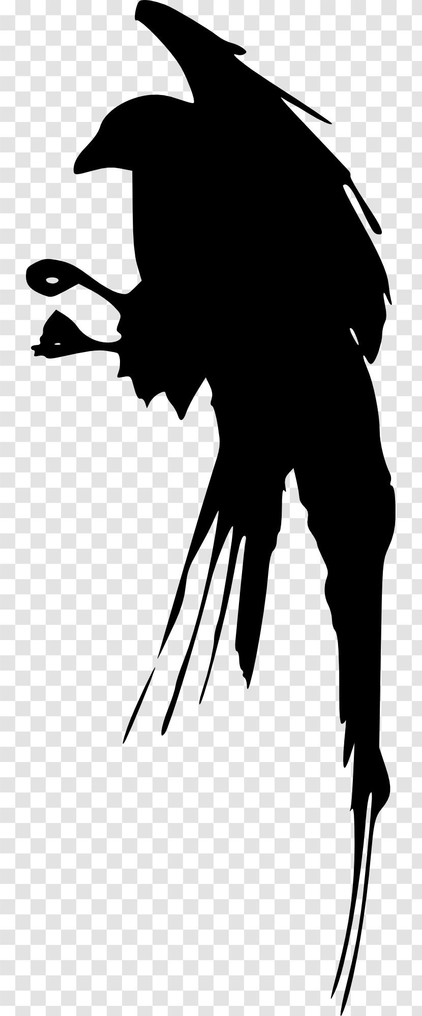 Clip Art Silhouette Illustration Birdcage - Blackandwhite - Bird Transparent PNG