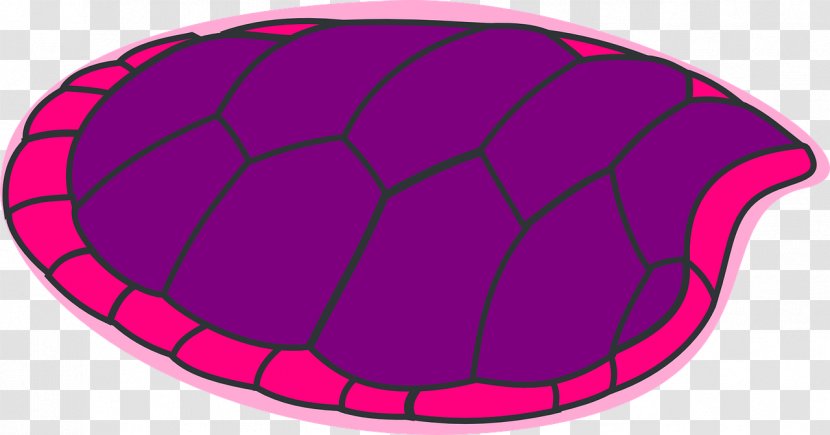 Turtle Headgear Pattern Transparent PNG