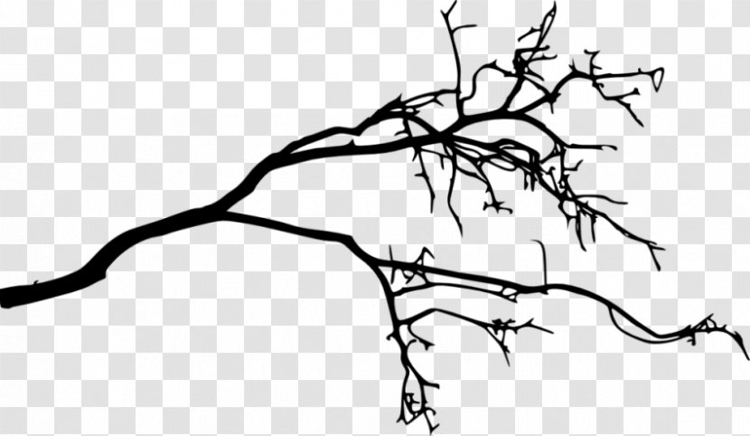 Branch Silhouette Drawing - Watercolor Transparent PNG
