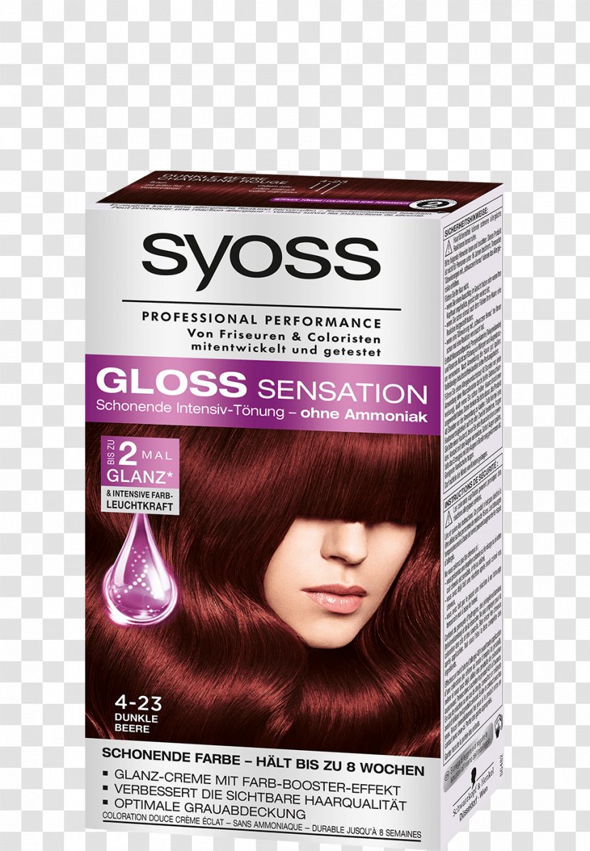 Hair Coloring Brown Permanents & Straighteners - Purple Transparent PNG