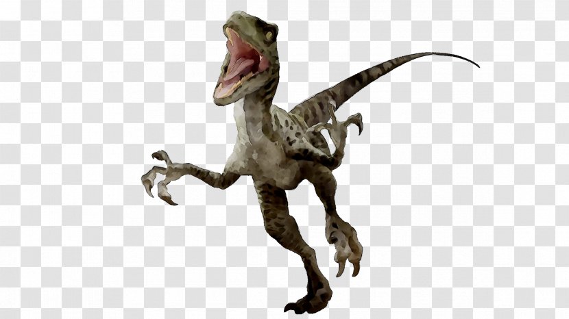Velociraptor Tyrannosaurus Dinosaur Majungasaurus Spinosaurus - Extinction - Animal Figure Transparent PNG