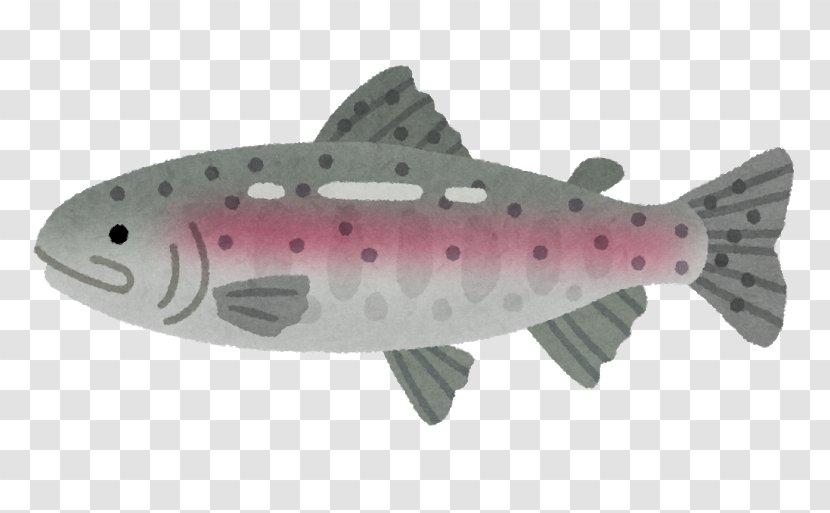 Rainbow Trout Angling Chihayagawa Fishing Fish Stocking - Chum Salmon Transparent PNG