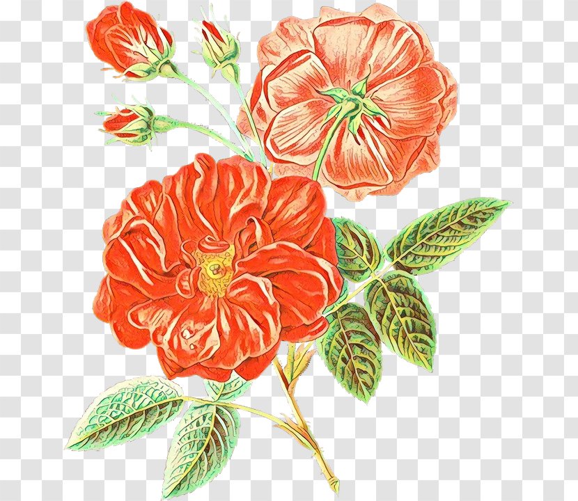 Clip Art Flower Bouquet Image - Painting - Petal Transparent PNG