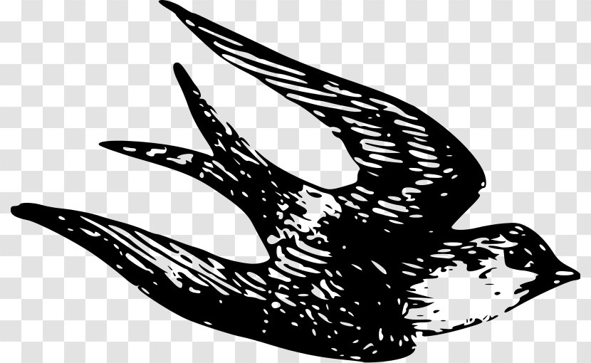 House Sparrow Songbird Clip Art Transparent PNG