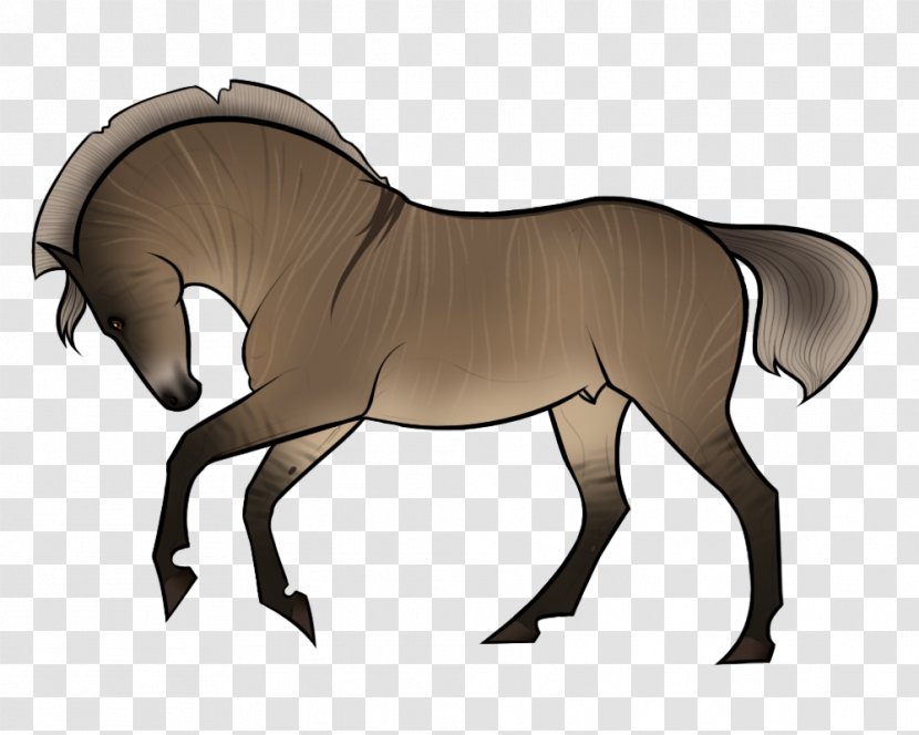 Mane Pony Foal Stallion Rein - Mustang - Canter And Gallop Transparent PNG