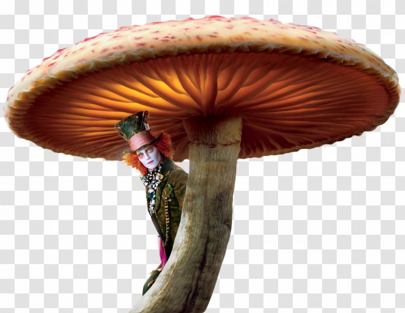 Alices Adventures In Wonderland The Mad Hatter Red Queen Alice - Johnny Depp - Fairy Tale Mushroom Transparent PNG