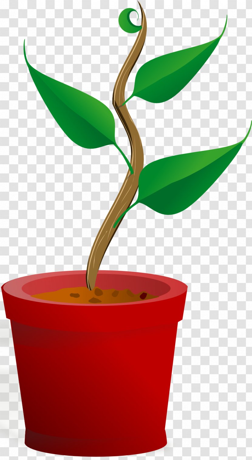 What Plants Need Plant Life-form Root Clip Art - Leaf Transparent PNG