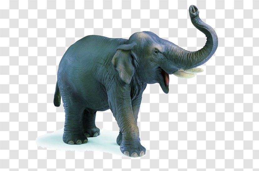 African Elephant Indian Schleich Transparent PNG