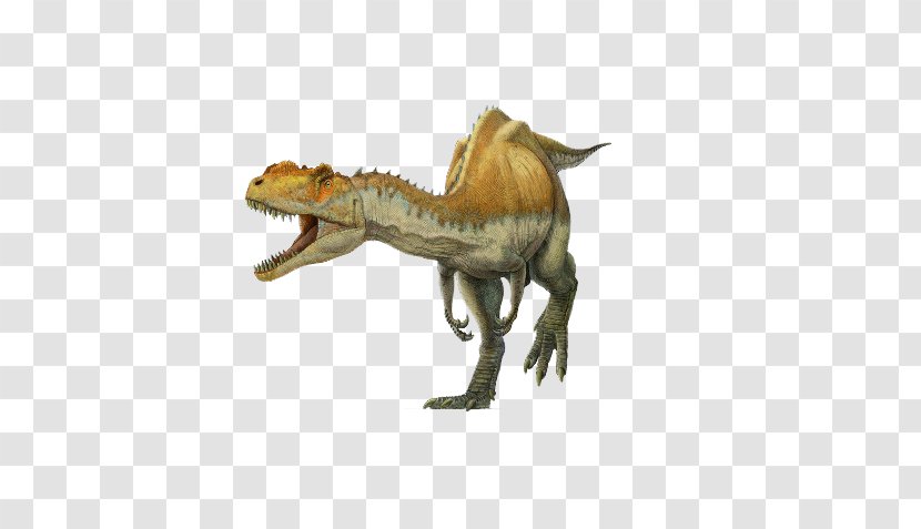 Spinosaurus Yangchuanosaurus Tyrannosaurus Metriacanthosaurus Suchomimus - Spinosauridae - Scary Dinosaur Transparent PNG
