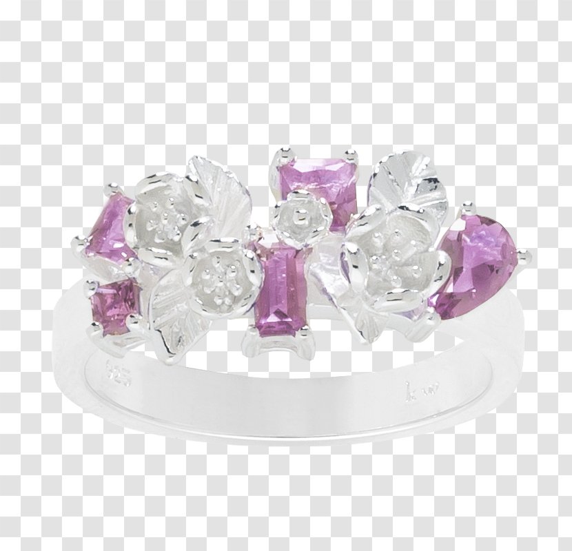 Amethyst New Zealand Ring Jewellery Garden Transparent PNG