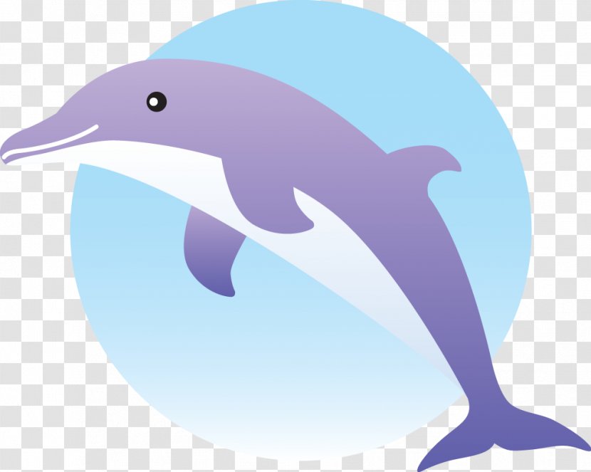 Common Bottlenose Dolphin Short-beaked Tucuxi Wholphin Rough-toothed - Mammal Transparent PNG