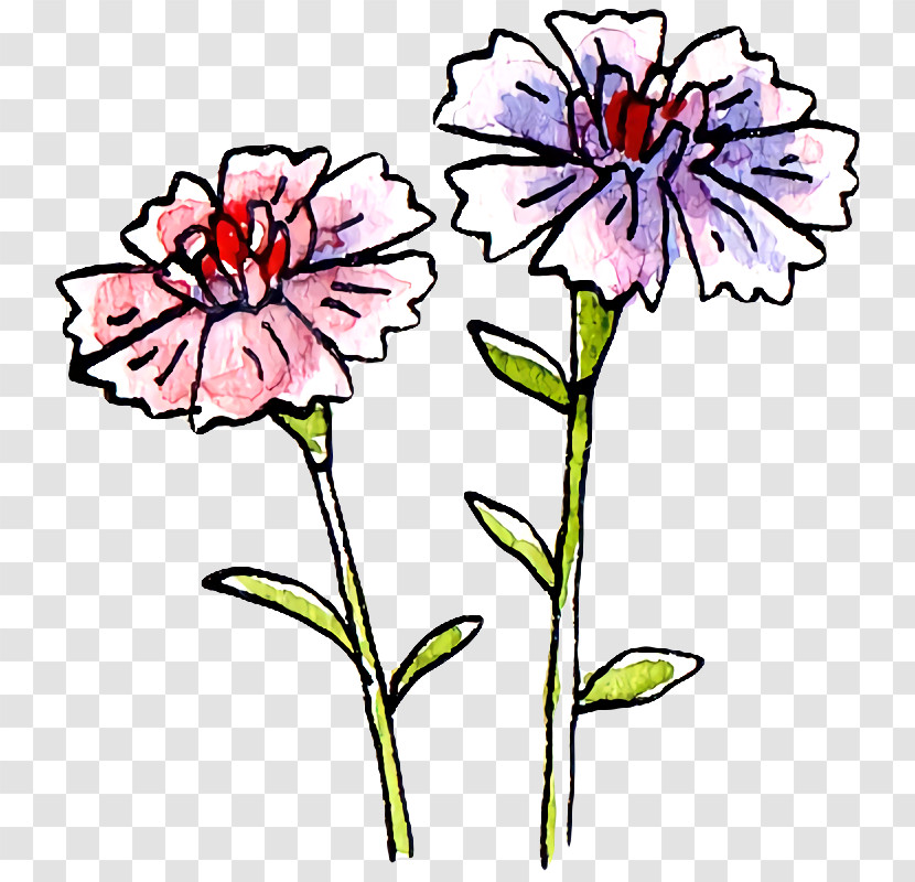 Floral Design Transparent PNG