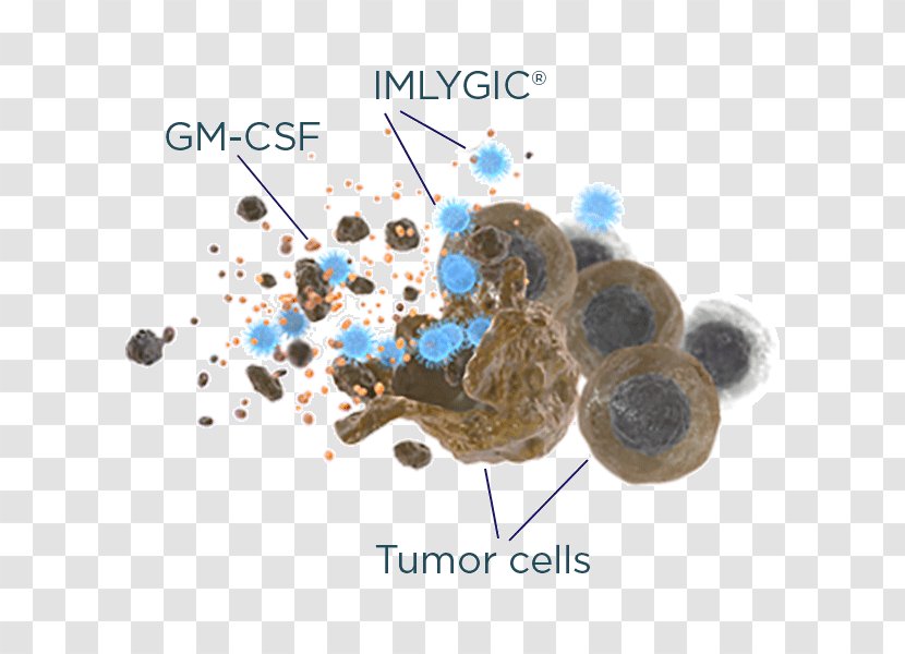 Treatment Of Cancer Oncolytic Virus Melanoma - Lymph Node - Cell Transparent PNG