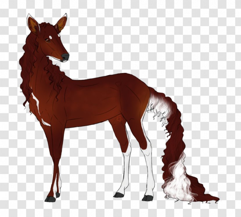 Foal Mustang Colt Stallion Mare - Livestock Transparent PNG