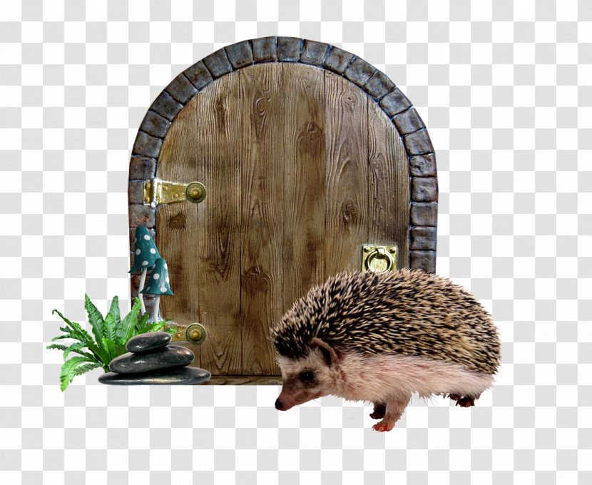 Alices Adventures In Wonderland Domesticated Hedgehog Fairy Tale - Gate - Doors Transparent PNG