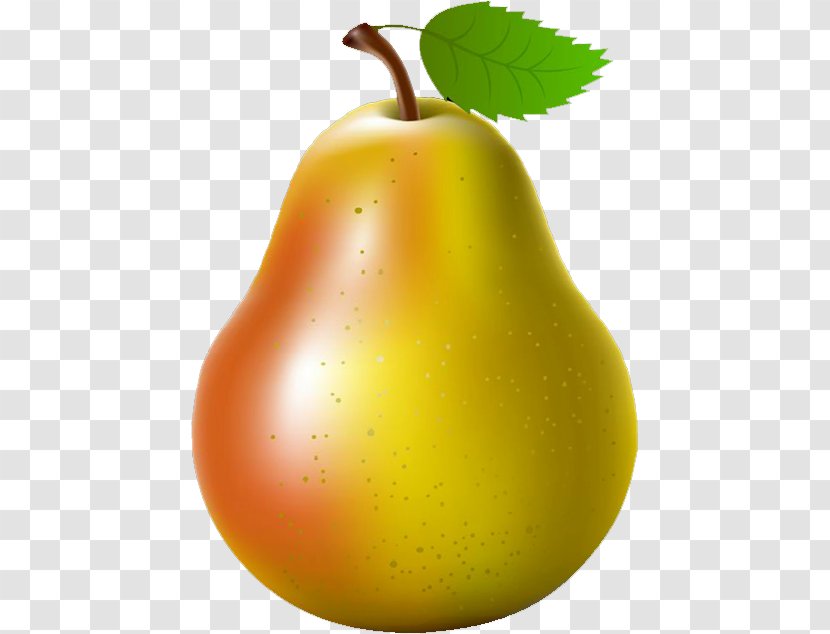 Pyrus Nivalis Fruit Auglis - Vegetable - Pear Transparent PNG