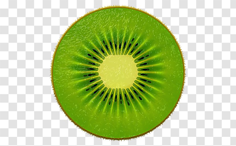 Clip Art Vector Graphics Stock Illustration Kiwifruit - Illustrator - Cute Kiwi Fruit Transparent PNG