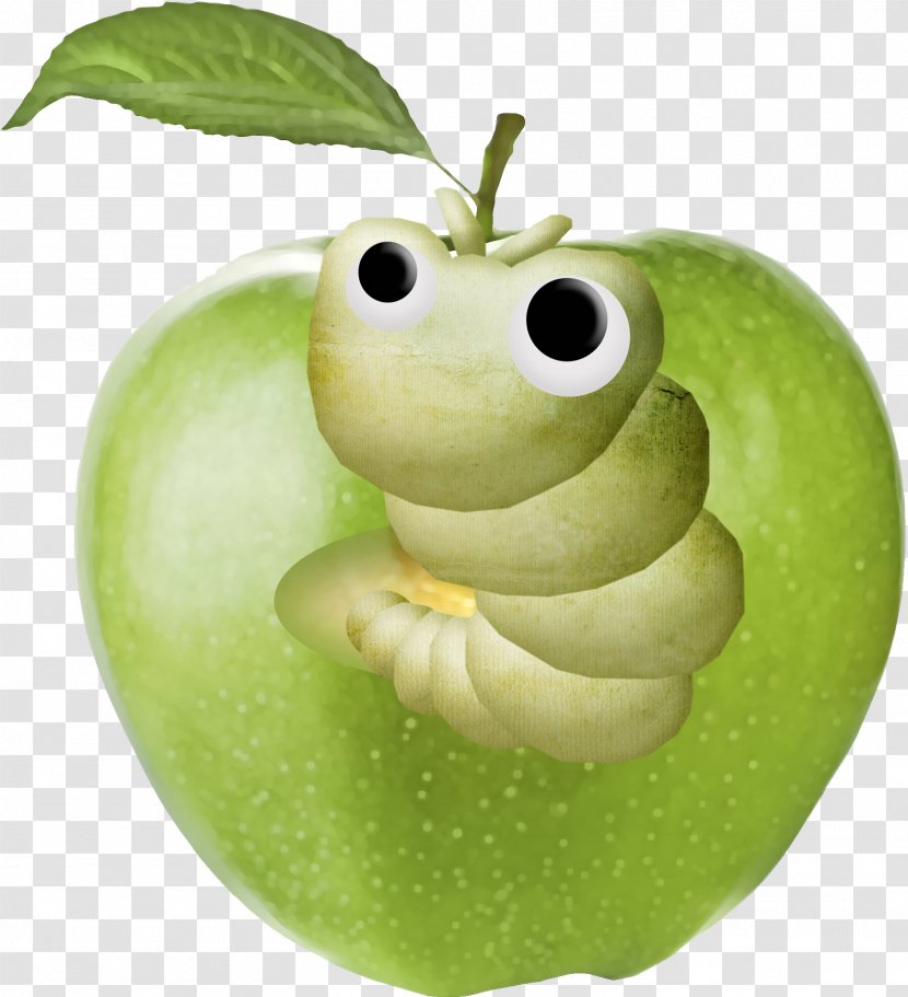 Apple Kiwifruit Clip Art - Organism - Green Transparent PNG