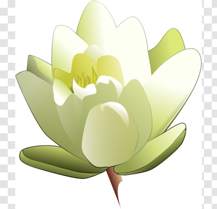 Easter Lily Tiger Flower Clip Art - Yellow - Cartoon Transparent PNG