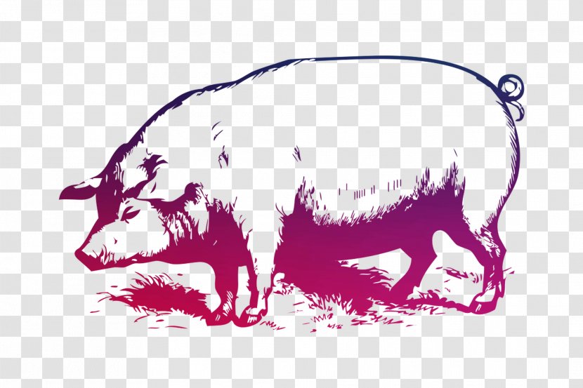 Large White Pig Vector Graphics Stock Illustration The Muddy - Yorkshireschweine Transparent PNG
