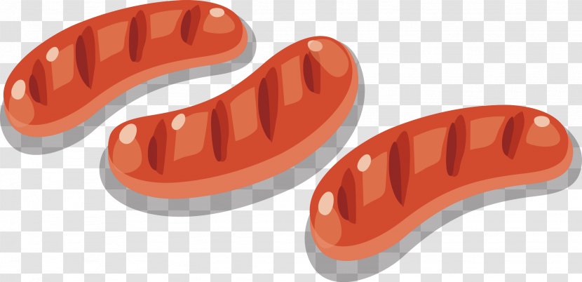 Sausage Hot Dog Barbecue - Vector Transparent PNG