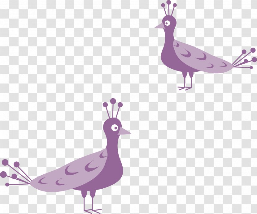 Peafowl Bird Illustration - Hand-painted Purple Peacock Transparent PNG