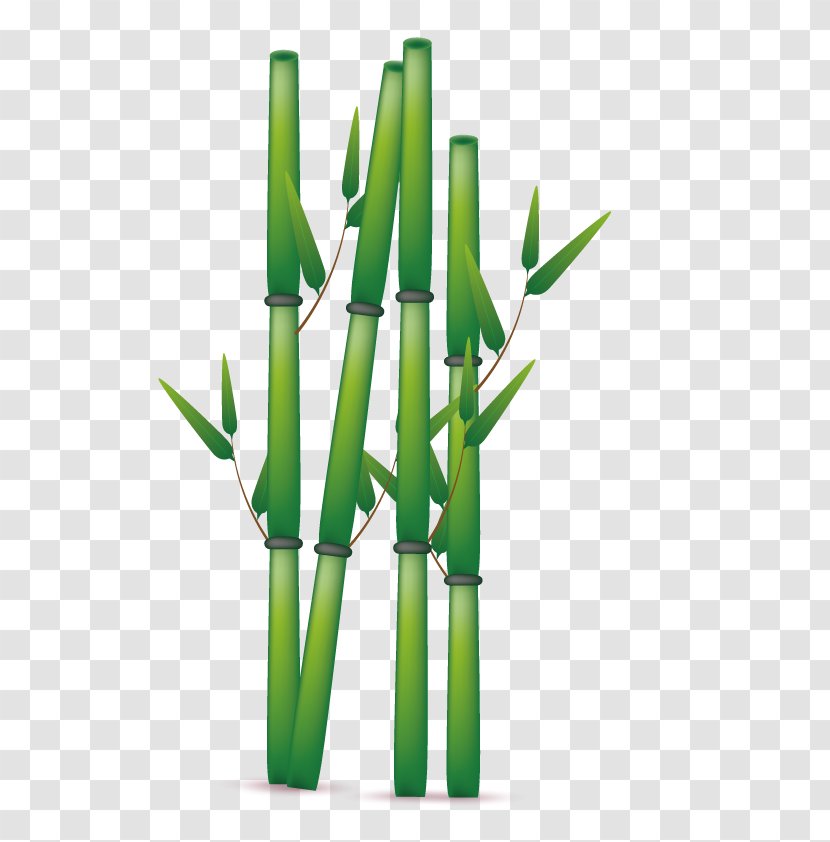 Bamboo Euclidean Vector - Plant Stem - Green Transparent PNG