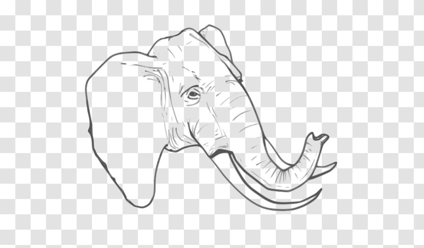 Line Art Drawing Elephant - Silhouette Transparent PNG