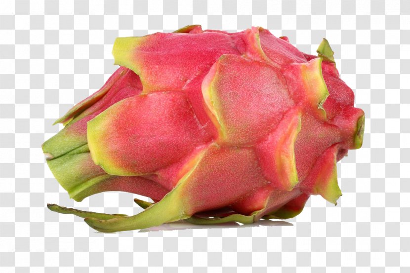 Pitaya Auglis Food Sweetness - Sweet Dragon Fruit Transparent PNG