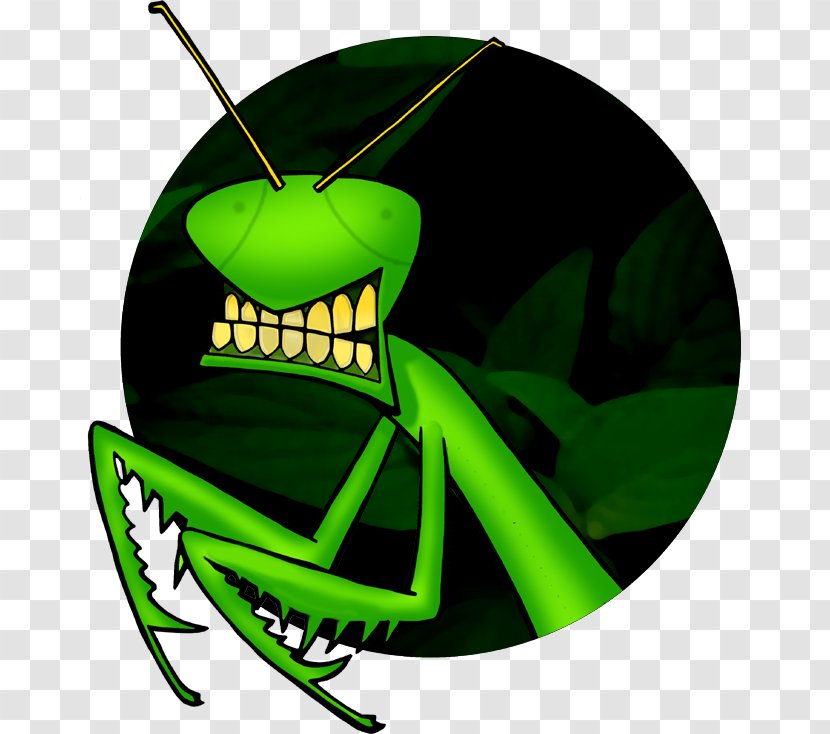 Insect Grasshopper Pará Weight Loss Clip Art - Fictional Character Transparent PNG