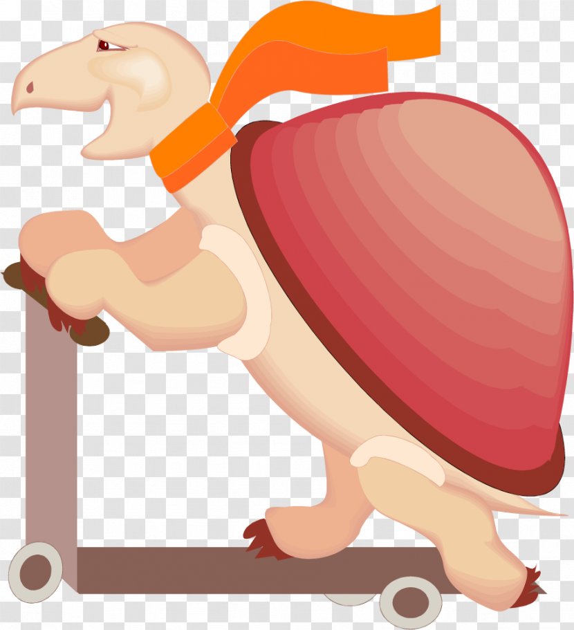 Turtle Cartoon Clip Art - Frame - The Tortoise Plays With Scooter Transparent PNG