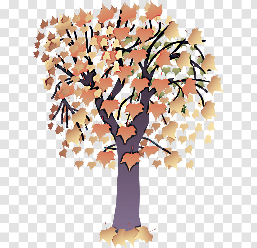 Tree Leaf Woody Plant Plant Branch Transparent PNG